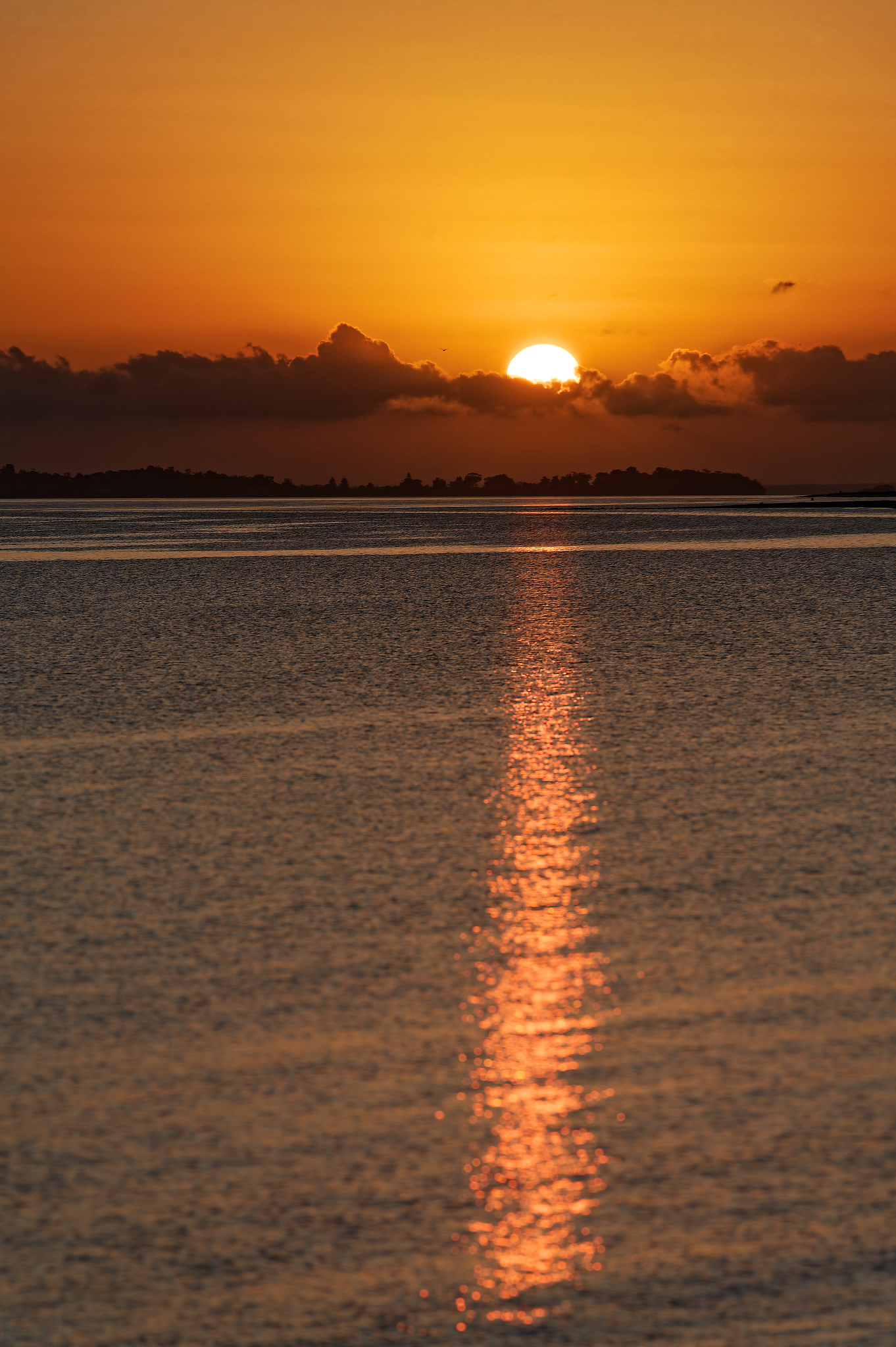 19 February 2023   0267fotosbyme